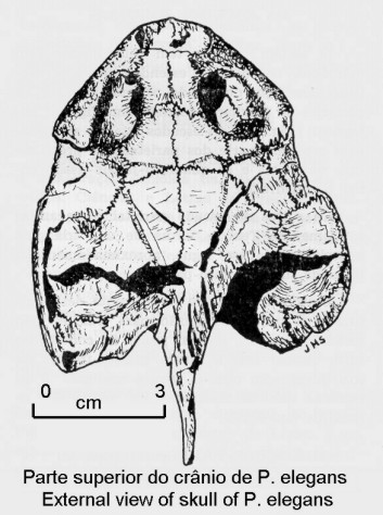 1cranext2.jpg (56200 bytes)