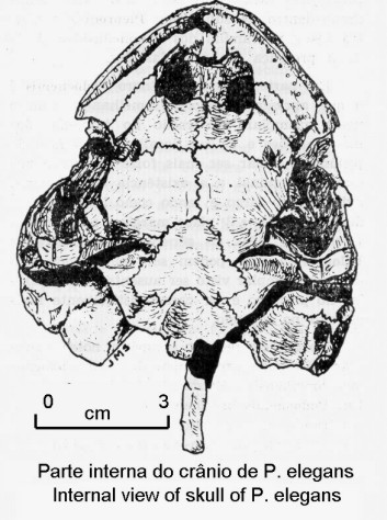 1cranint2.jpg (60718 bytes)